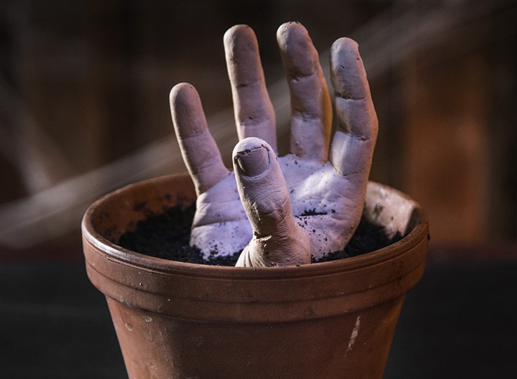Zombie hand in flower pot